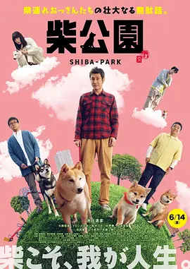五月婷综合